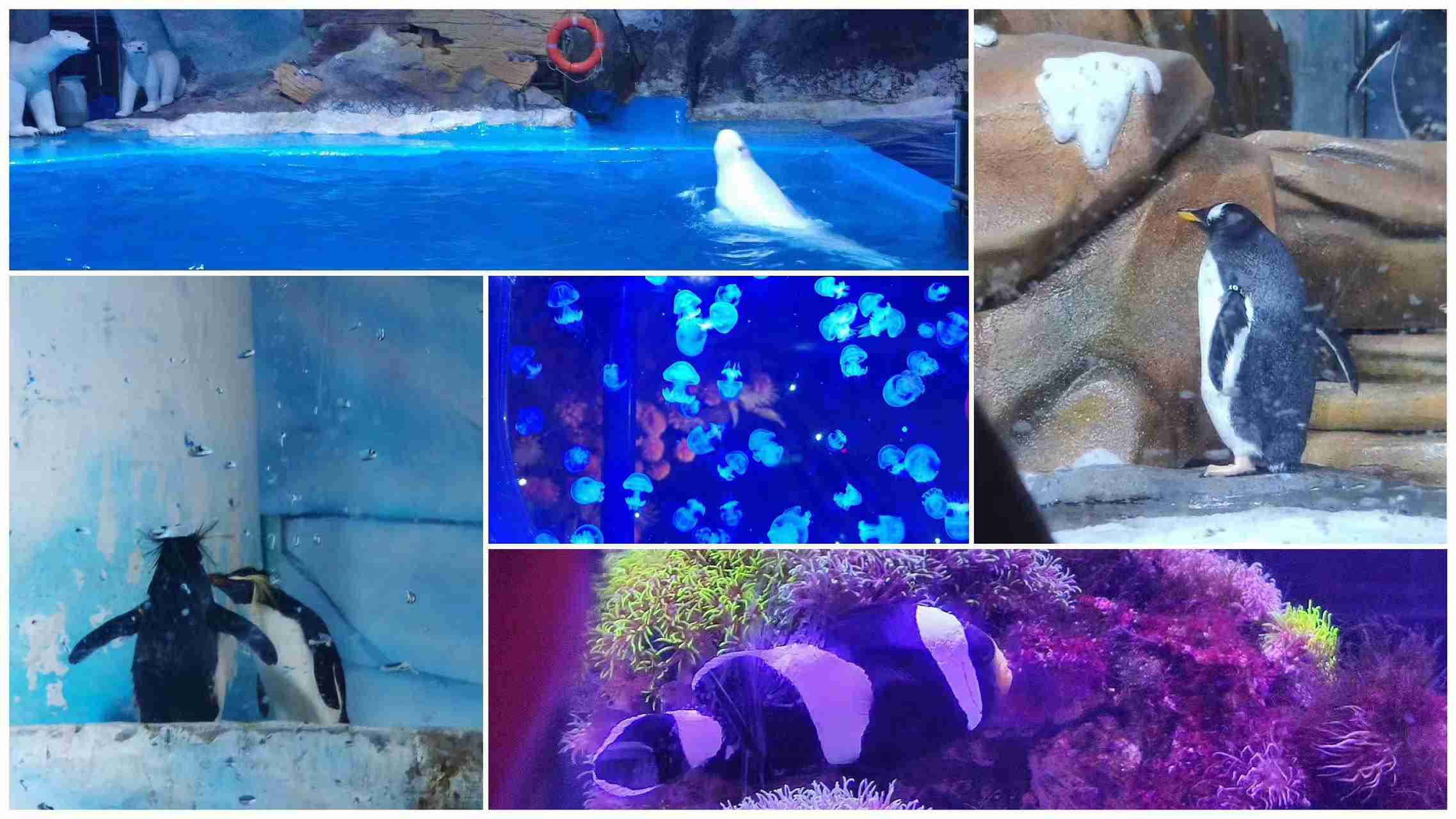 安鑫娱乐(中国游)官方网站