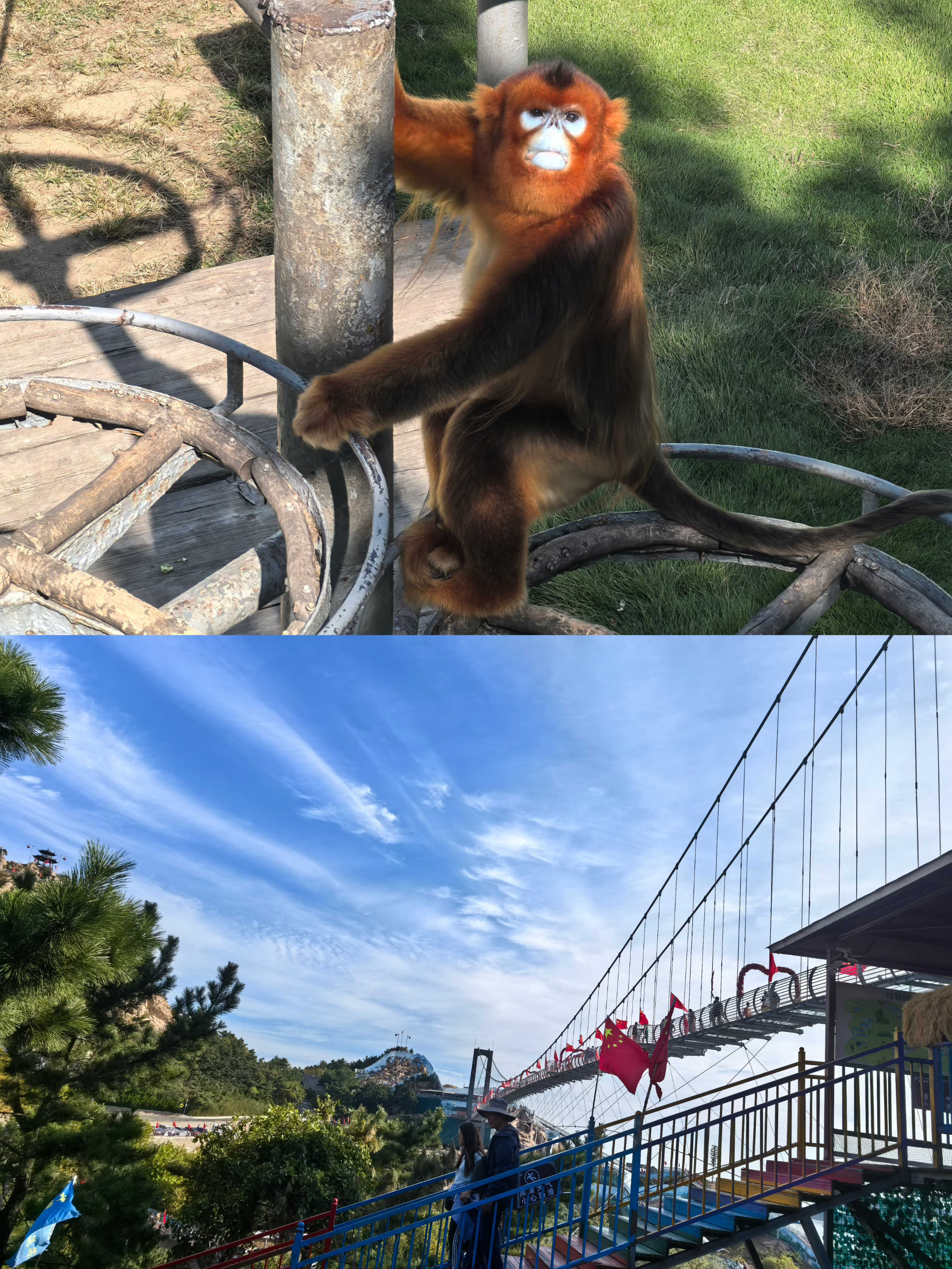 安鑫娱乐(中国游)官方网站