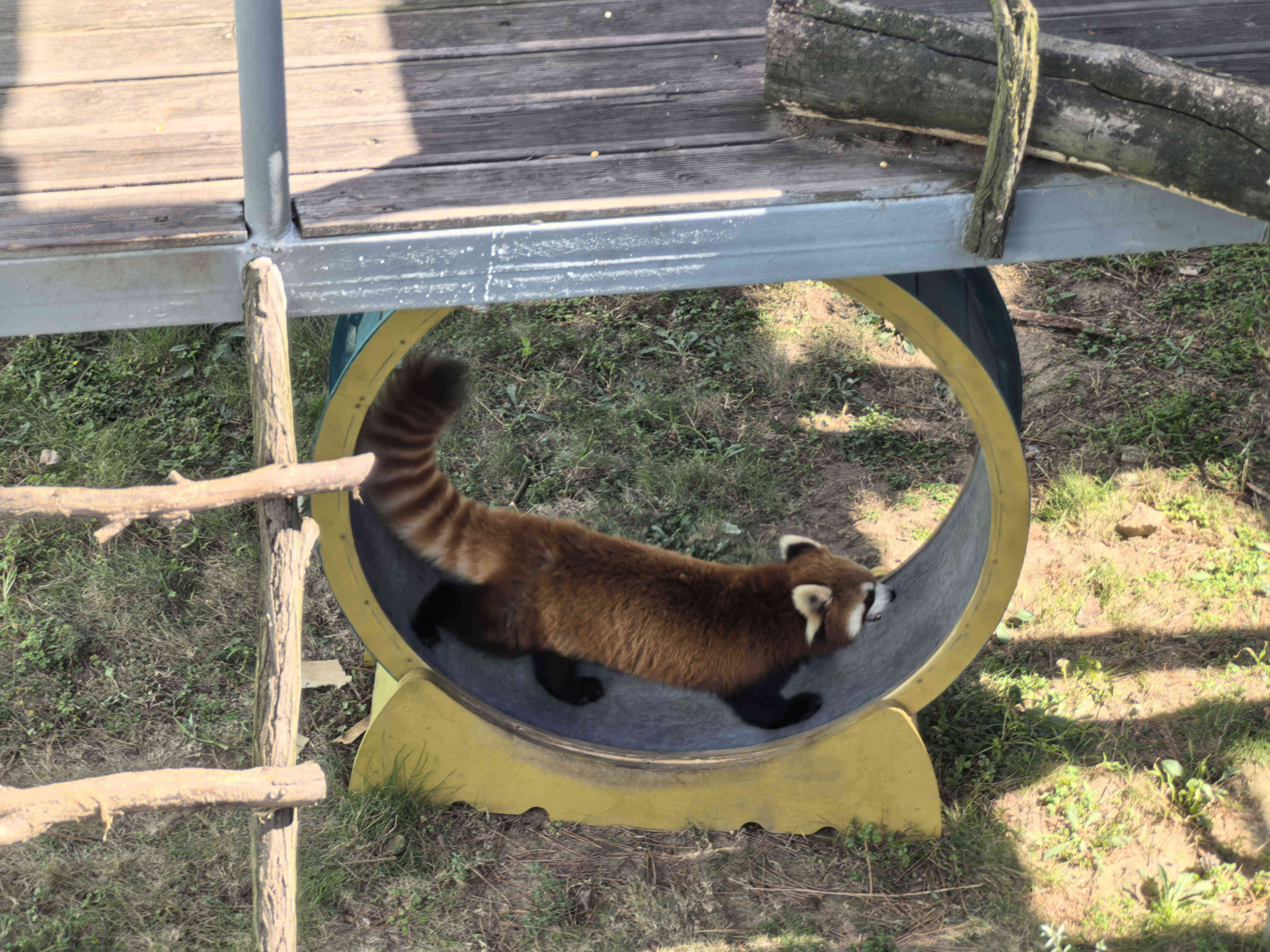 安鑫娱乐(中国游)官方网站